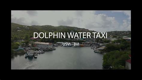 dolphin water taxi usvi.